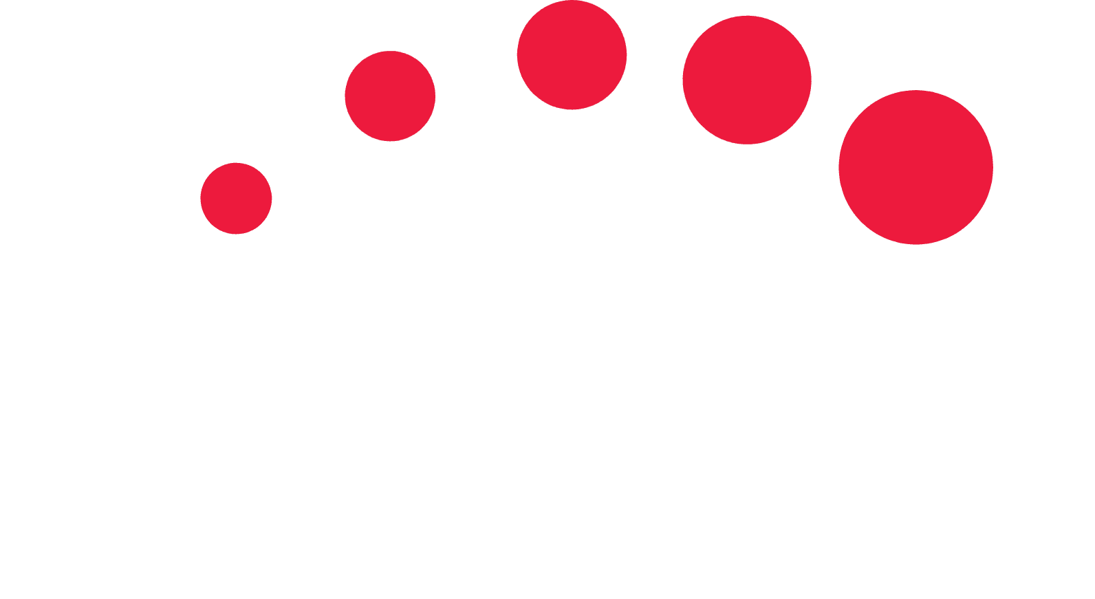 Telecom Customer Logo