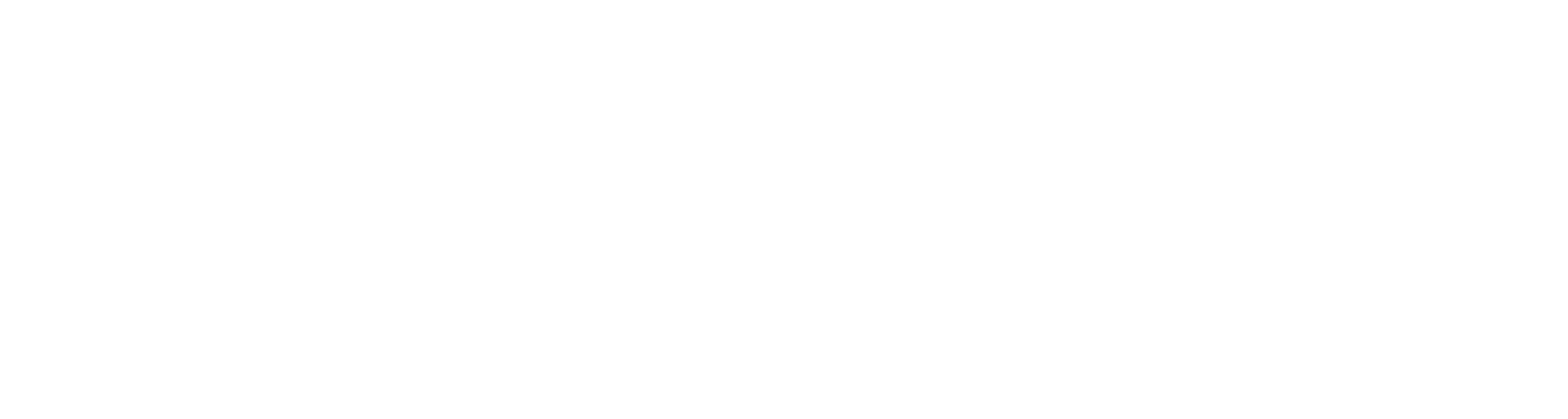 rConfig logo