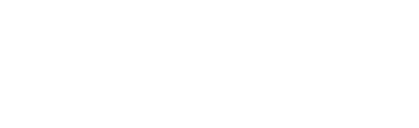 rConfig V8 Pro logo