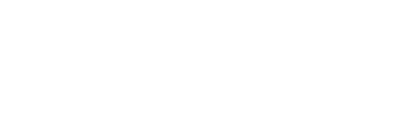 rConfig V8 Pro logo